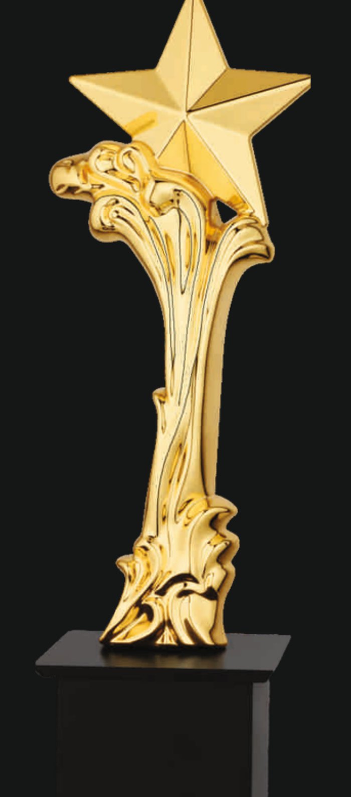 Premium corporate trophy with gold star design
